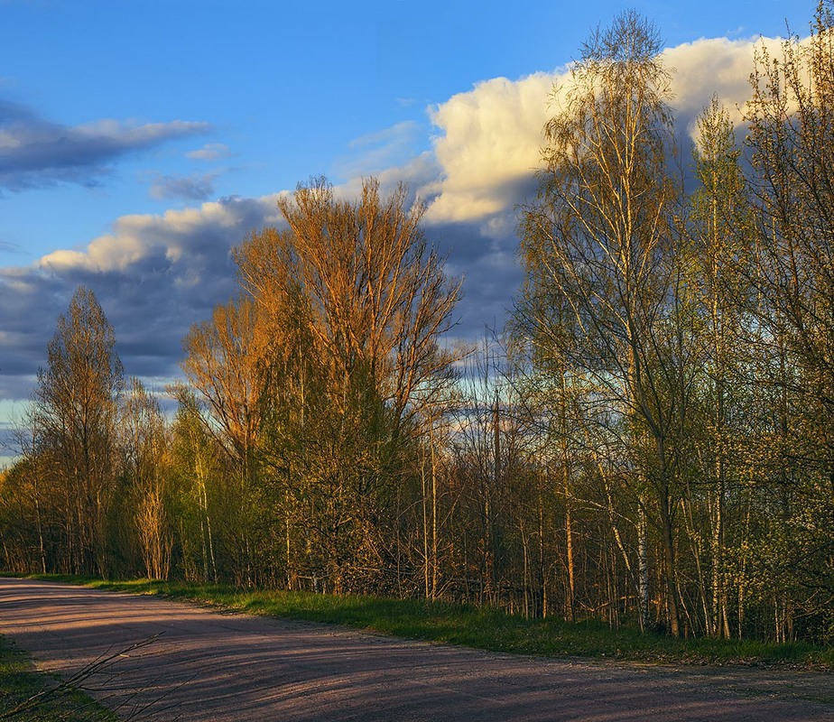 Фотографія Весна: ліс і надалі продовжить своє відвоювання. / Юрій Максименко / photographers.ua