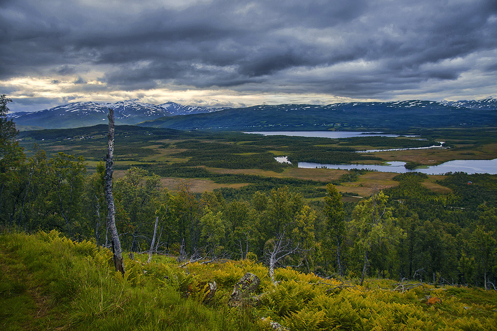 Фотографія Безмежна та пуста і дика площина, крапає. Сонце ледь пробивається у щілину над горами крізь хмари. / Юрій Максименко / photographers.ua