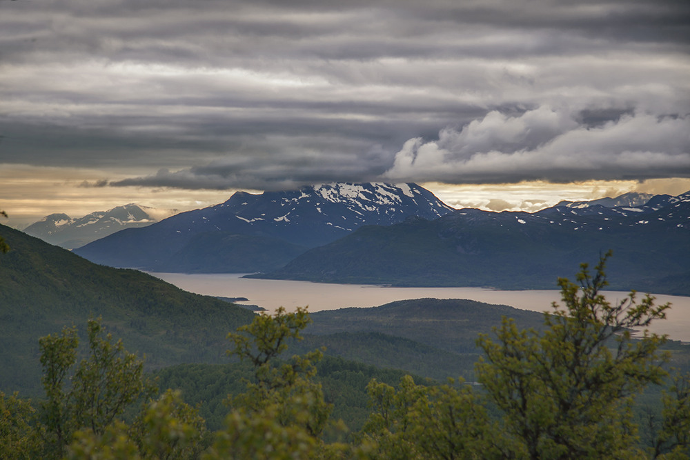 Фотографія Буде дощ. Чи дощик. Хмари низенько зовсім, вечір близенько-близесенько. / Юрій Максименко / photographers.ua