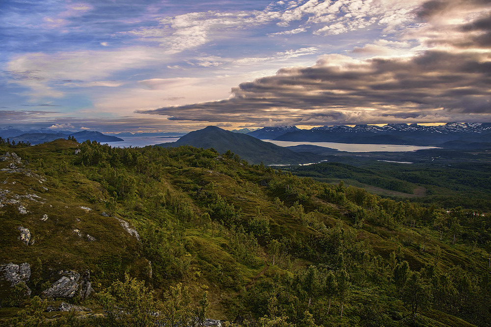 Фотографія Зеленеє жито за селом, а у мене гості - за столом. / Юрій Максименко / photographers.ua