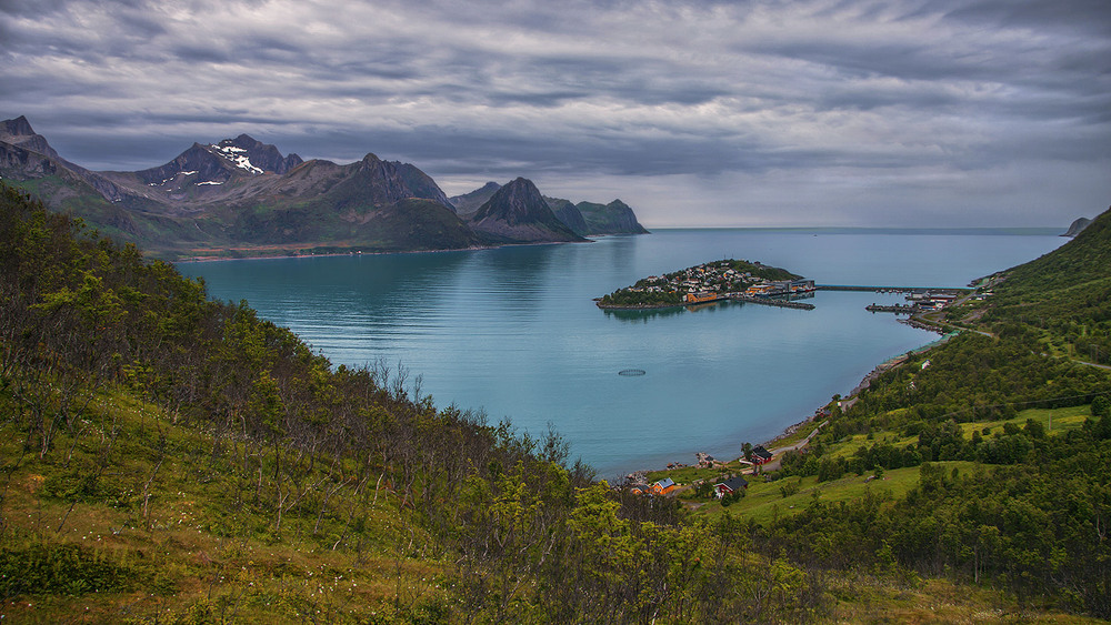 Фотографія Ранок. З низенького хмарнесенького неба дощик крапає дрібненький. / Юрій Максименко / photographers.ua