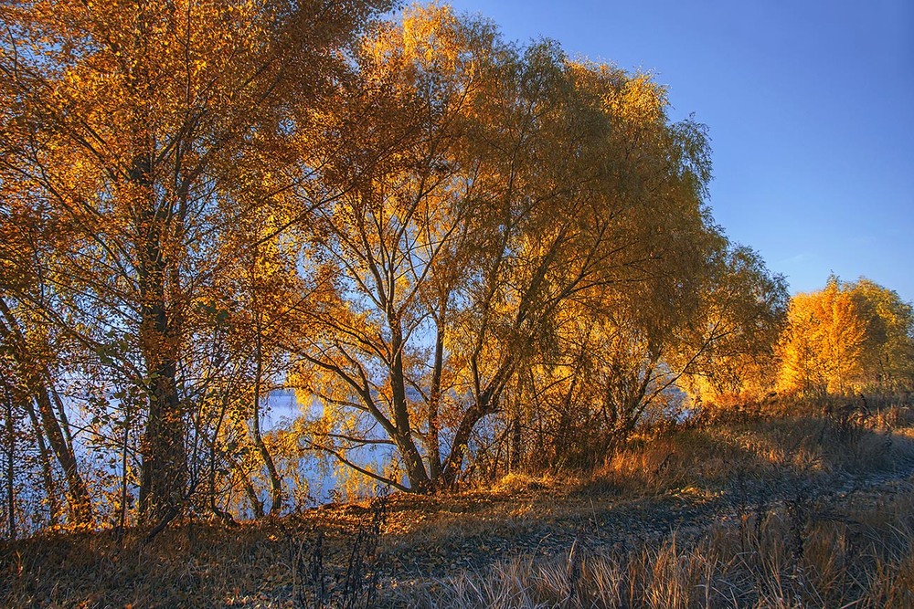 Фотографія На сизий ранок позирнуло пильно спокійне осіннє сонце. / Юрій Максименко / photographers.ua
