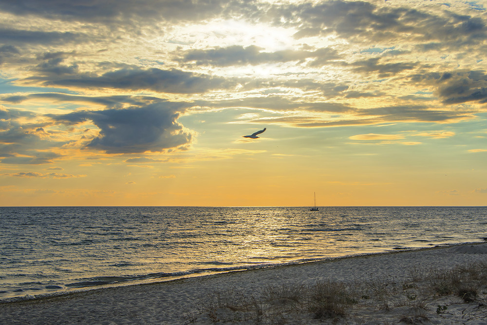 Фотографія Спокійно, чайки, моря будуть наші!!! / Юрій Максименко / photographers.ua
