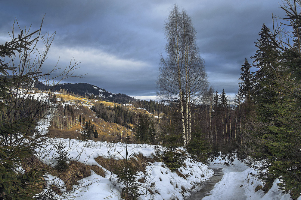 Фотографія Старий сніг борозни не псує / Юрій Максименко / photographers.ua