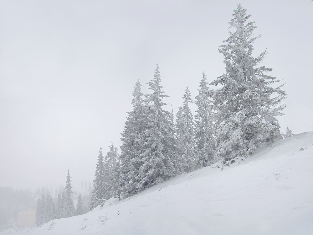 Фотографія Вітер, сніг, хмара,туман (молоко). / Юрій Максименко / photographers.ua