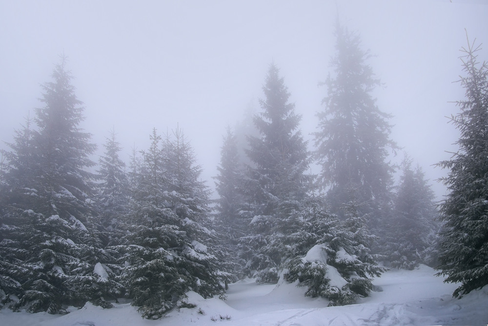 Фотографія Туманна перспектива явила ся в хмарі. / Юрій Максименко / photographers.ua