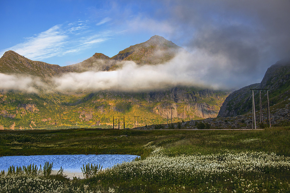 Фотографія Ой ходить сон коло вікон, а дрімота – коло плота. Питається сон дрімоти: - а де будем ночувати? / Юрій Максименко / photographers.ua