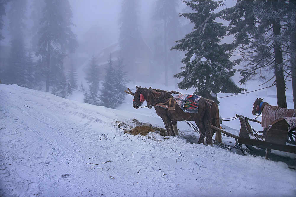 Фотографія За туманом - нічого не видно. / Юрій Максименко / photographers.ua