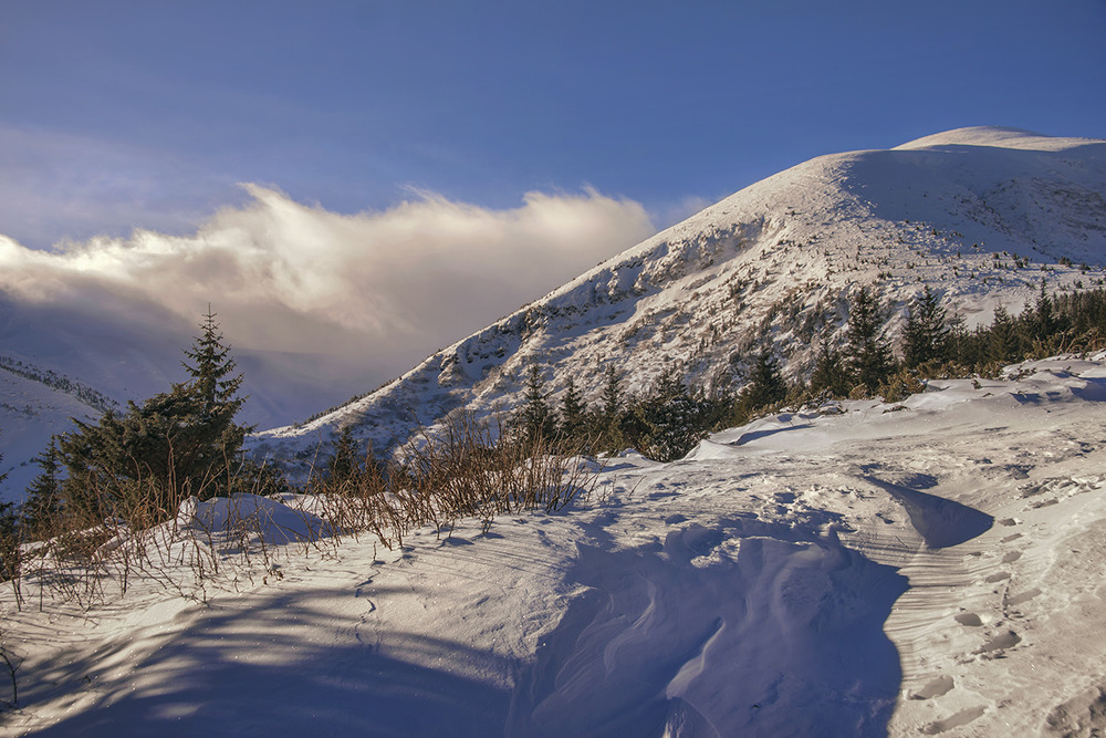 Фотографія Гори в снігу, хмарах, деревах і кущах. А сонечко сяє. / Юрій Максименко / photographers.ua