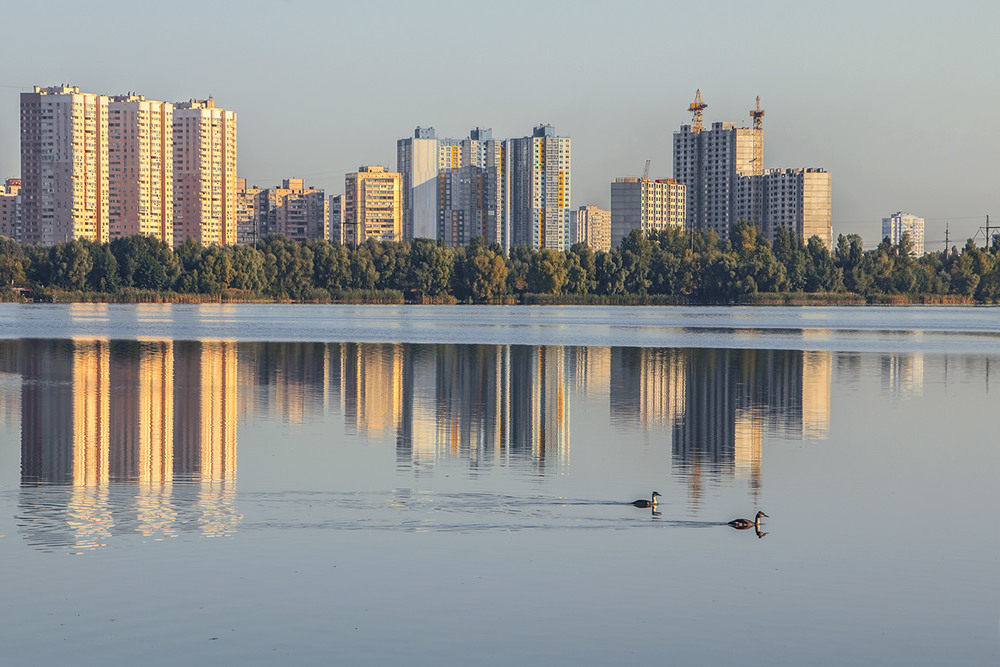 Фотографія Пірникоза сірощока - так називається ця пташка. Вік живи - вік учись, аданака. / Юрій Максименко / photographers.ua