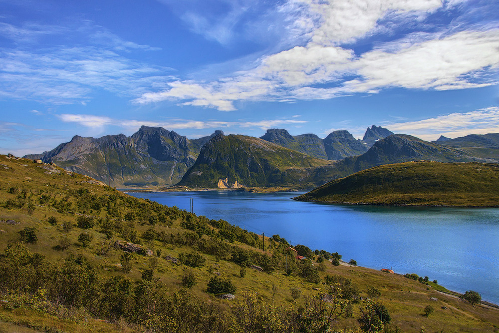 Фотографія "Зеленеє жито за селом, а у мене гості - за столом": це - якась зелено-блакитна планета. / Юрій Максименко / photographers.ua