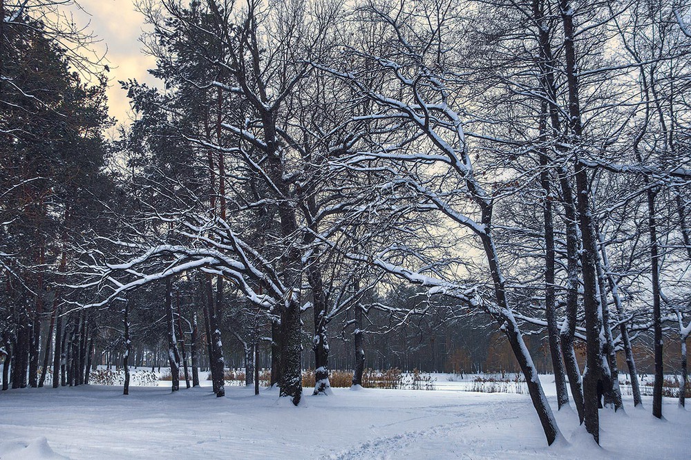 Фотографія Біля озера. І сонце пробивається, і сніжок притрушує. / Юрій Максименко / photographers.ua