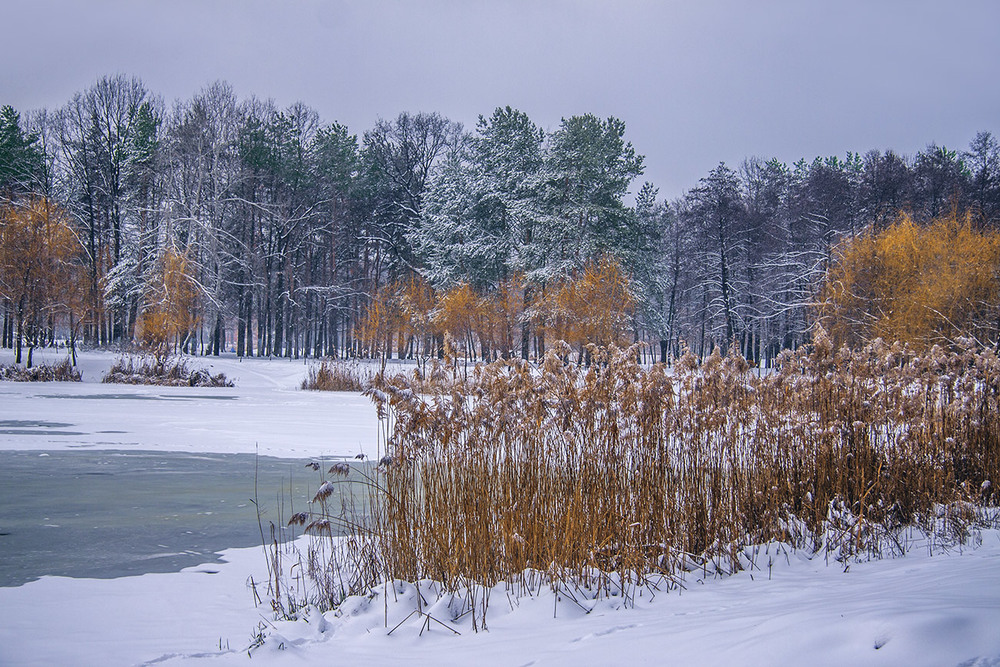 Фотографія Ти диви - яка кольорова зима буває після снігу під вечір: і синя, і зелена, і біла, і - жовта! / Юрій Максименко / photographers.ua