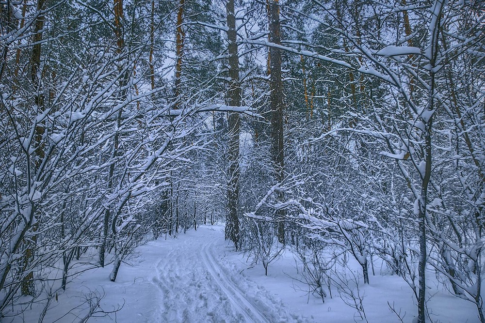 Фотографія Бувало, вже й вечір зовсім опустився, але снігу нападоло стільки, що аж очі сліпить. / Юрій Максименко / photographers.ua