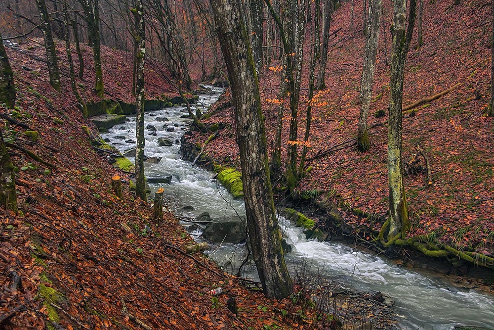 Фотографія Весна іде - красу несе: з-під талого снігу визирає минула осінь. А вода - до моря біжить. / Юрій Максименко / photographers.ua