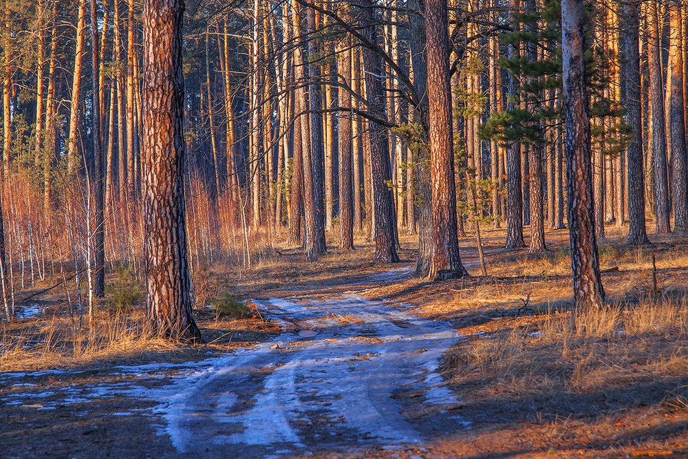 Фотографія Пейзаж / Юрій Максименко / photographers.ua