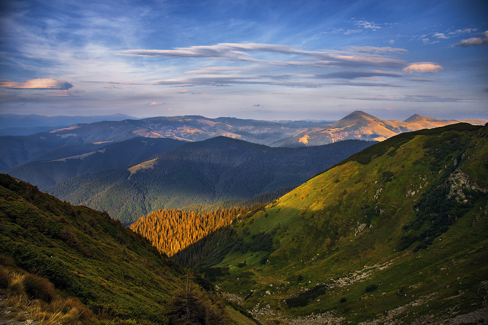 Фотографія Інколи гори дарують багато приємних асоціацій. Як ось ці цятки сонця і тіні. / Юрій Максименко / photographers.ua