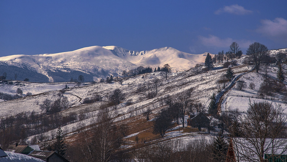 Фотографія Карпаття: ранок прийшов, а весна насунулася невідворотньо. / Юрій Максименко / photographers.ua