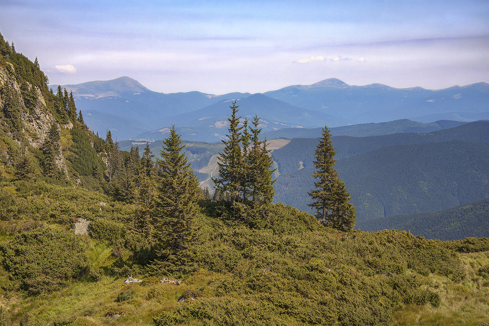 Фотографія Чорногора - як на долоні із Мармаросів. / Юрій Максименко / photographers.ua