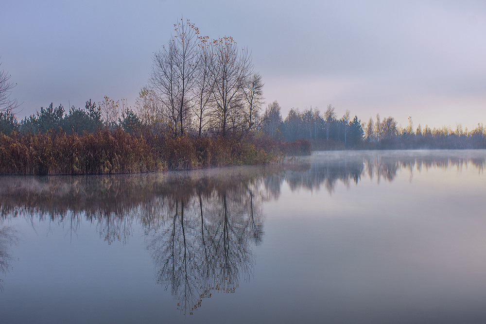 Фотографія В тихому болоті чорти заводяться, кажуть, коли туман розсіюється. / Юрій Максименко / photographers.ua