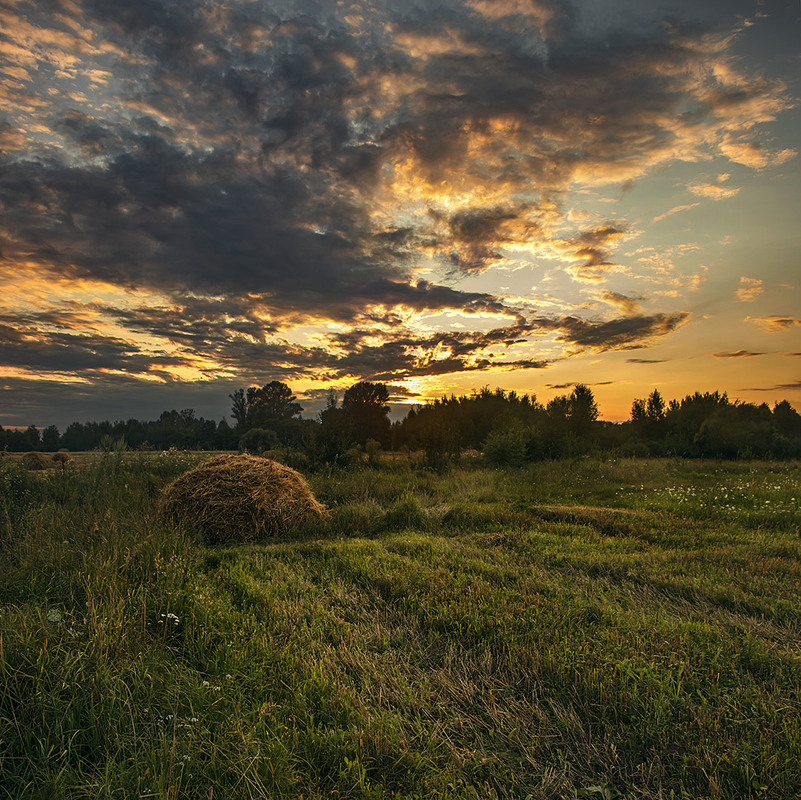 Фотографія Ось, мокрий від роси вечір запалав над копичками-ностальжичками на околиці села. / Юрій Максименко / photographers.ua