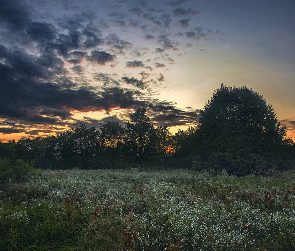 Фотографія Сонце заховалося, роса, хмарки підсвічуються вже з-під обрію. / Юрій Максименко / photographers.ua