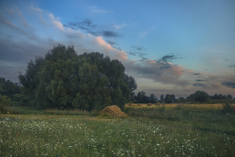 Фотографія Сонце заходить, хмари, кущі, поля, трави темніють. Радіють люде, що одпочинуть. / Юрій Максименко / photographers.ua