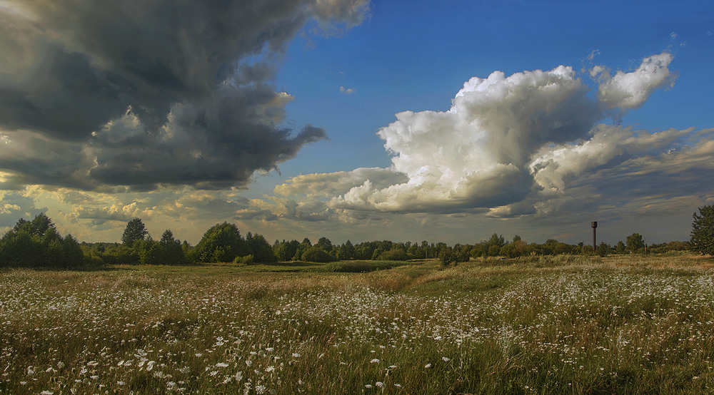 Фотографія Чорна хмара погналася за білою увечері у полях край села. / Юрій Максименко / photographers.ua