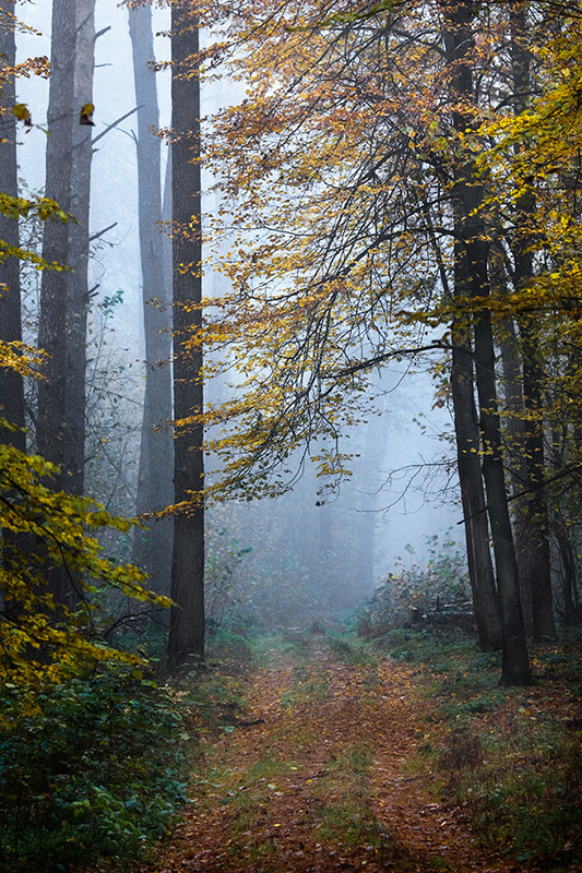 Фотографія Пейзаж / александр  горенко / photographers.ua