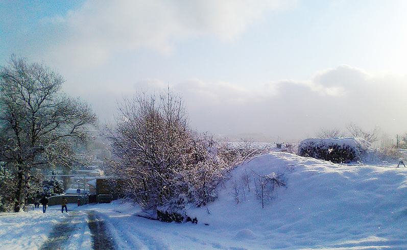 Фотографія Ялтинская зима "Как на холсте..." / Helena / photographers.ua