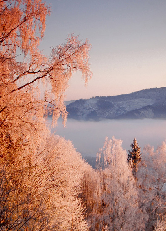 Фотографія Зима кольорами осені / Мишко / photographers.ua