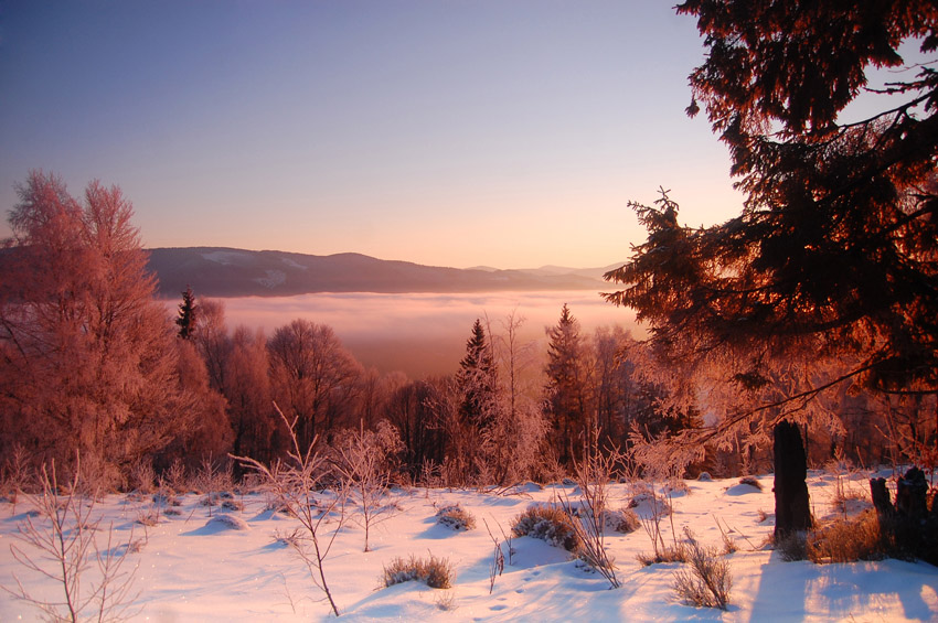 Фотографія зимовий ранок / Мишко / photographers.ua