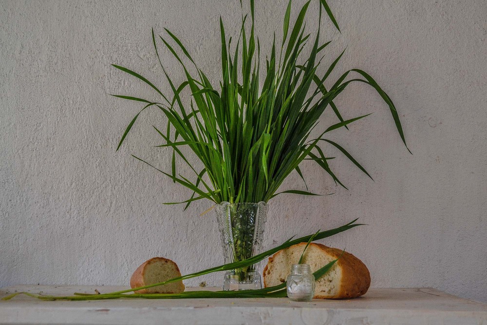 Фотографія Весняний запах хліба.. / Ваня Геревич / photographers.ua