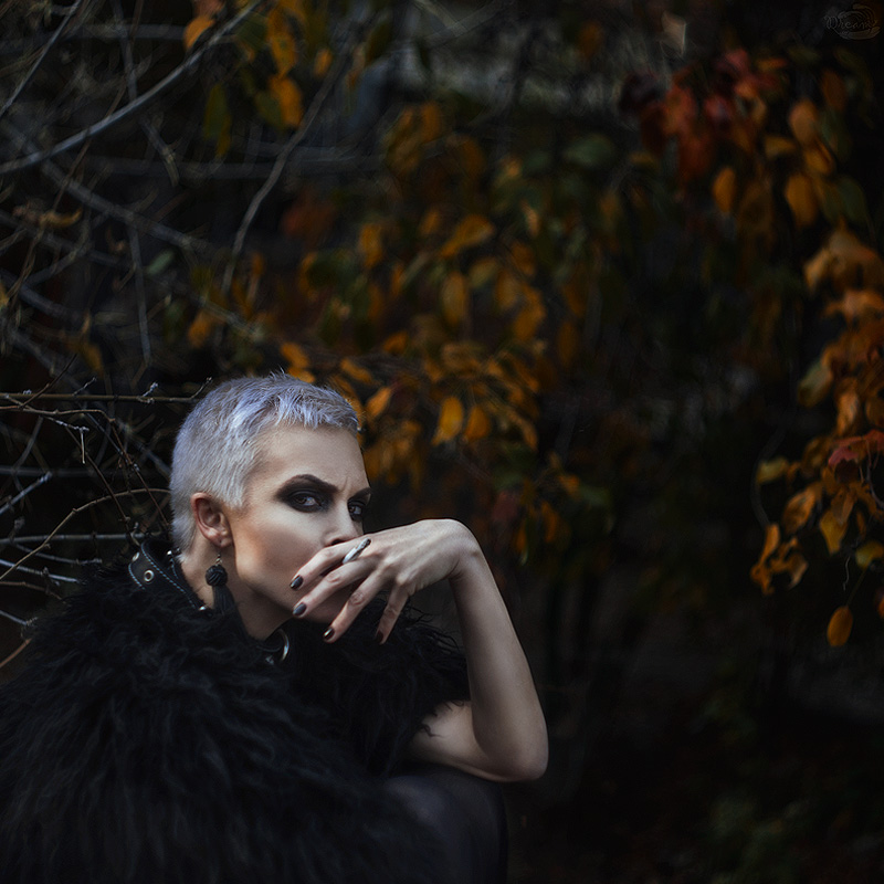 Фотографія Magpie / Олександр Боцман / photographers.ua