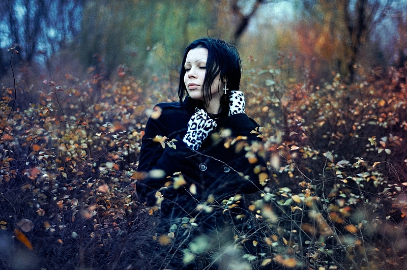 Фотографія Autumn Dream / Олександр Боцман / photographers.ua