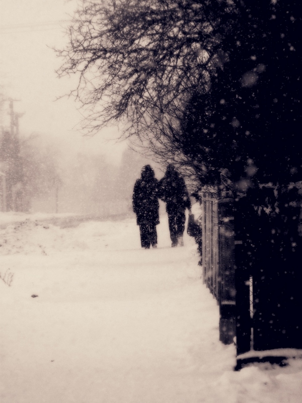Фотографія по снігом засипаній доріжці.... / AnyaKovalyshyn / photographers.ua