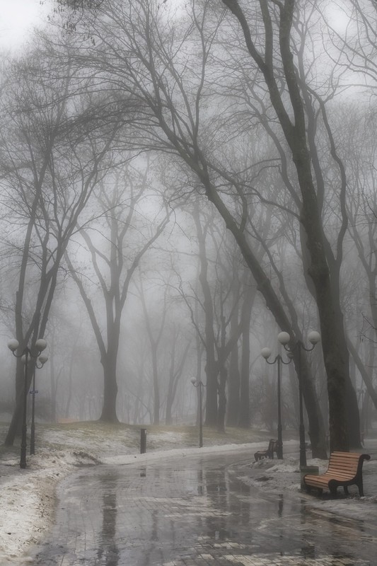 Фотографія Зима туманная VIII / Александр Шульга / photographers.ua