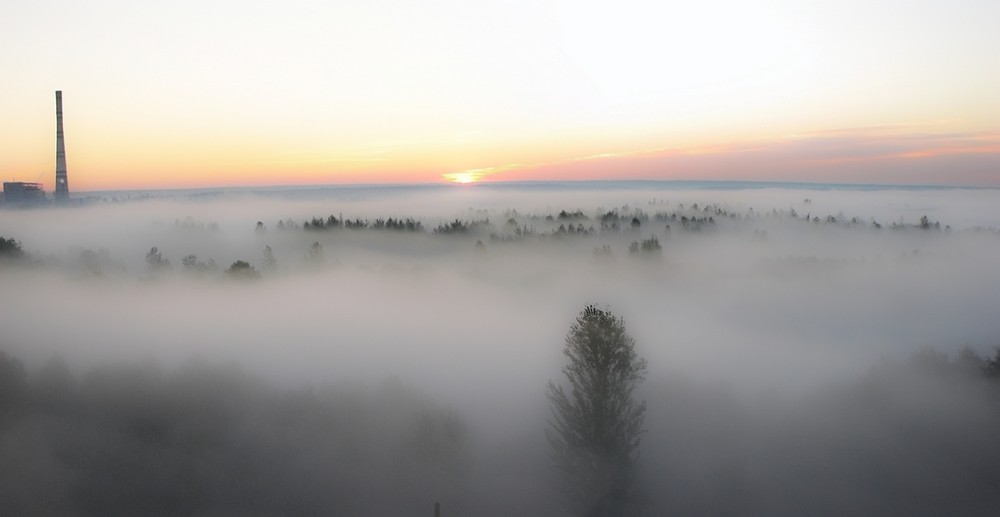 Фотографія Утренний туман / Александр Шульга / photographers.ua