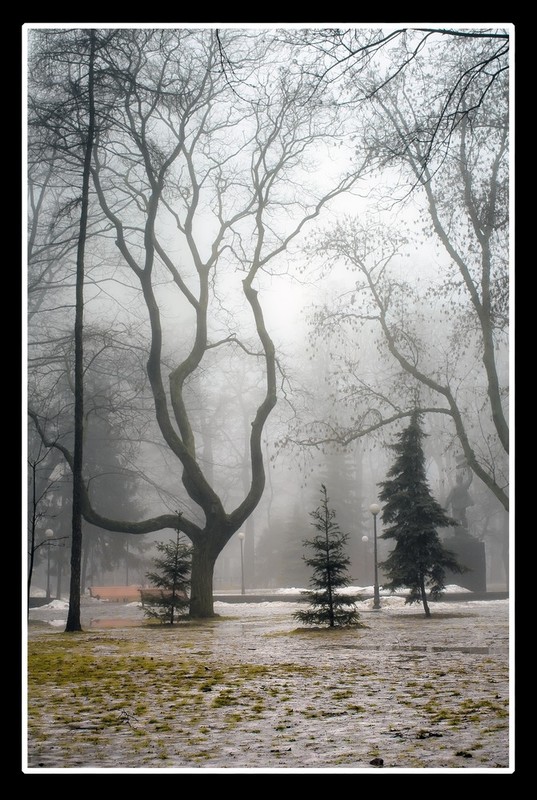 Фотографія Зима туманная II / Александр Шульга / photographers.ua