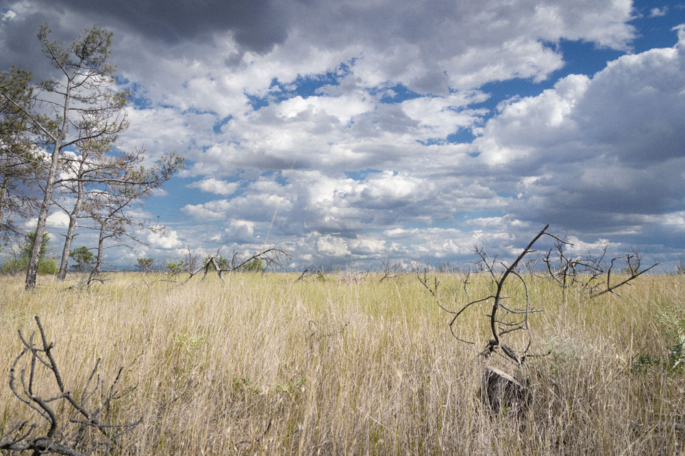 Фотографія Мінлива хмарність / Олександр Вальчук / photographers.ua