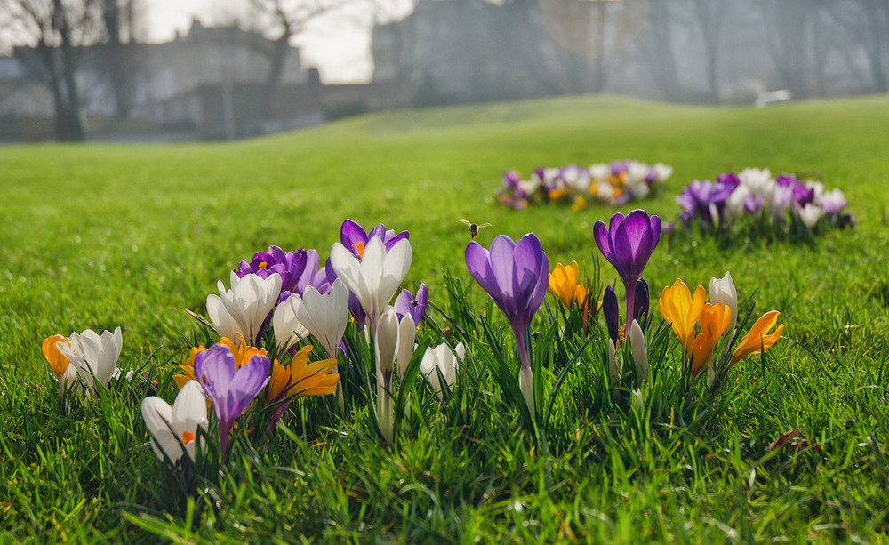 Фотографія Весна пришла! / Boris Alabugin / photographers.ua