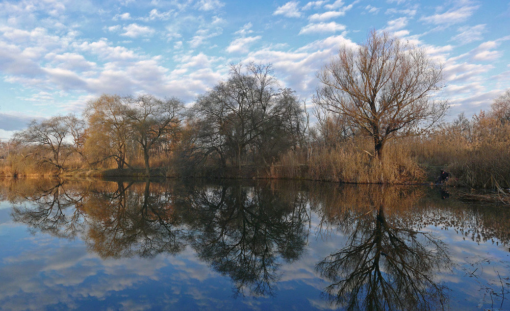 Фотографія Пейзаж / maliovanii / photographers.ua