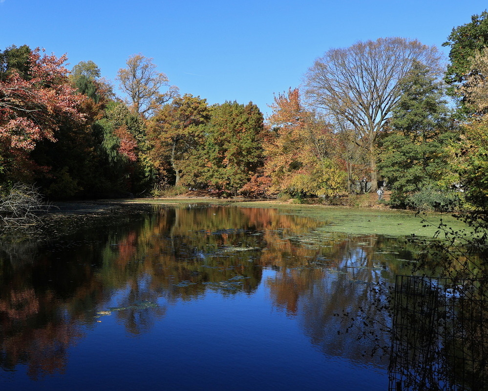 Фотографія Озеро у Проспект-парку. Бруклін, Нью-Йорк / Юрий Эбер / photographers.ua