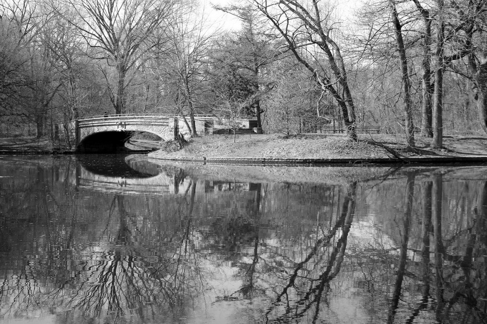 Фотографія Озеро в Проспект-парке, Бруклин, Нью-Йорк / Юрий Эбер / photographers.ua