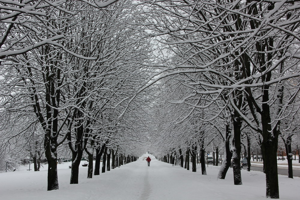 Фотографія Пейзаж / Юрий Эбер / photographers.ua