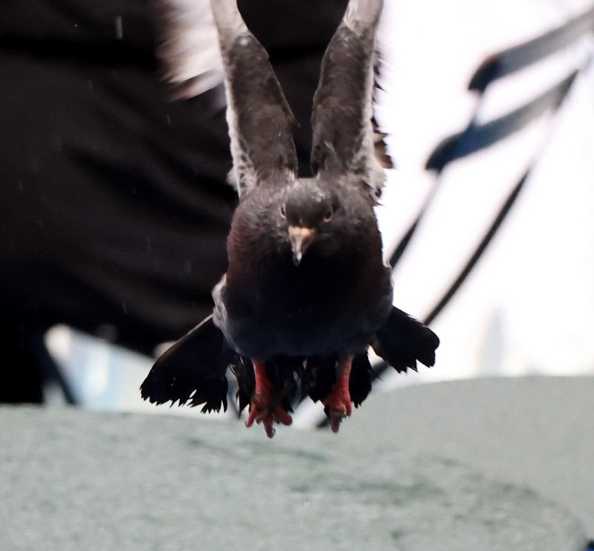Фотографія просто на мене / Юрий Эбер / photographers.ua