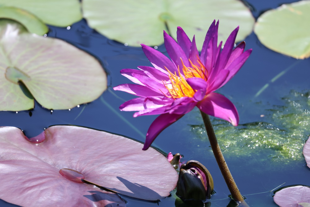 Фотографія Пейзаж / Юрий Эбер / photographers.ua
