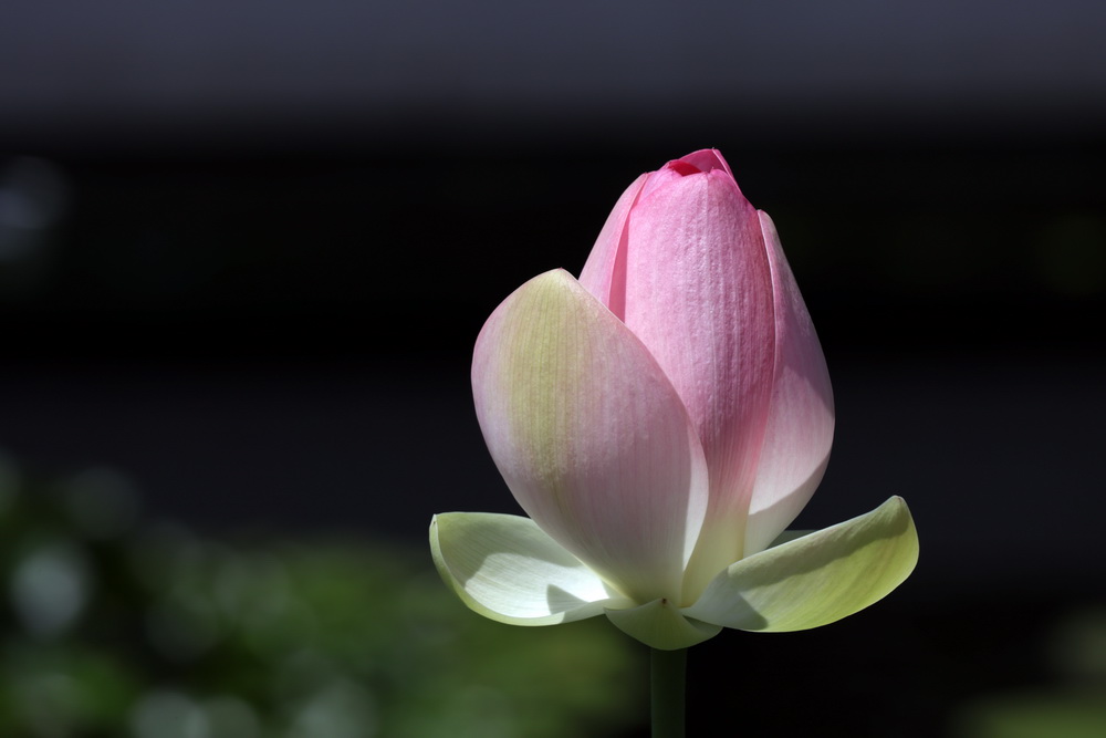 Фотографія Пейзаж / Юрий Эбер / photographers.ua