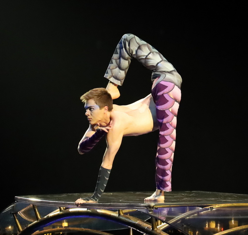 Фотографія У цирку, Нью-Йорк / Юрий Эбер / photographers.ua