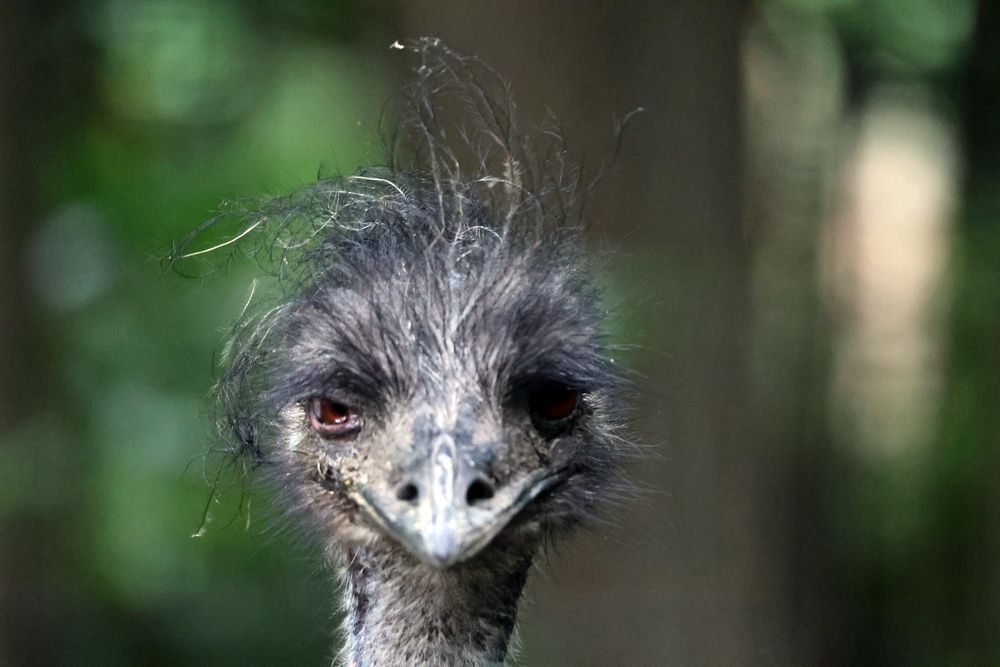 Фотографія Животные / Юрий Эбер / photographers.ua